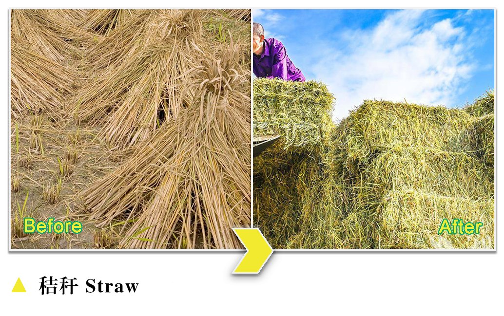 Vertical Baling Machines