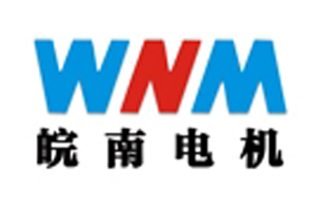 皖南电机